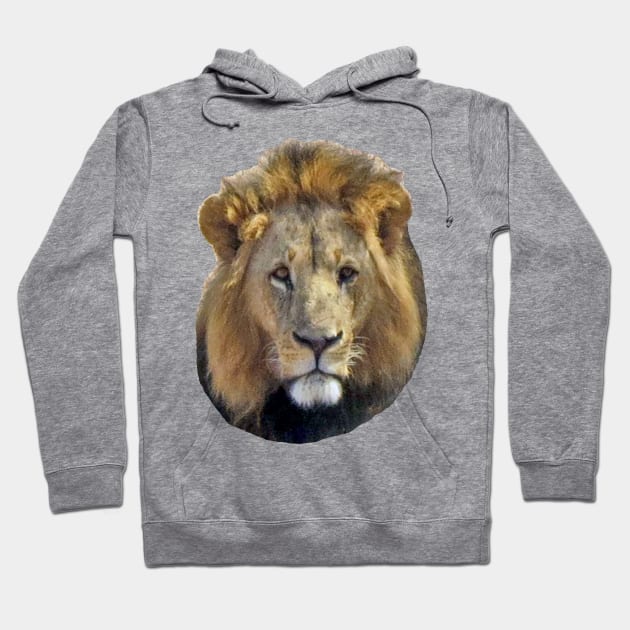 Lion Hoodie by ellenhenryart